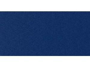 Navy Blue poly color