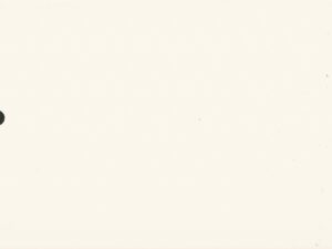 Colors White Vinyl & Composite Colors