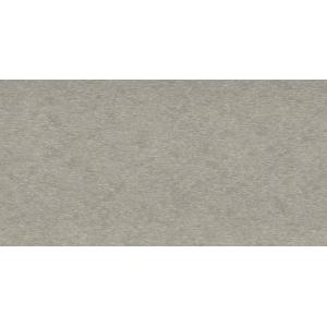 Light Gray poly color
